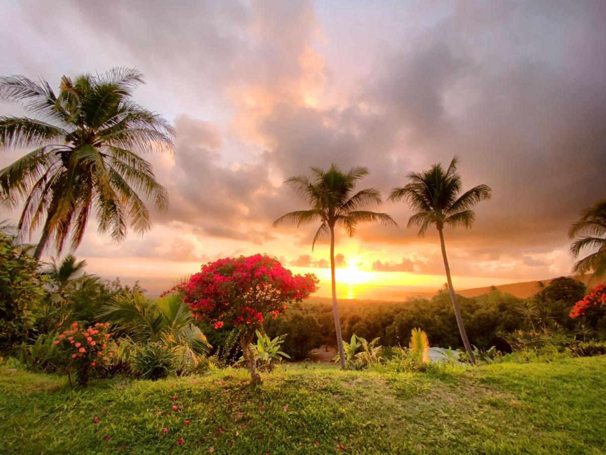 Bed and breakfast Kona Bayview