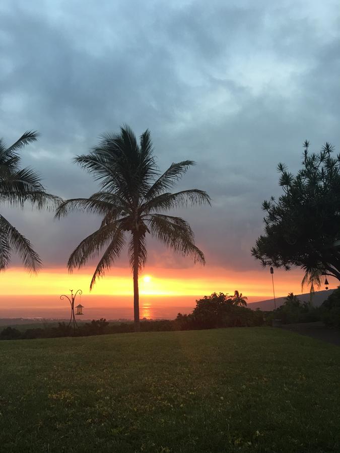 Bed and breakfast Kona Bayview Captain Cook