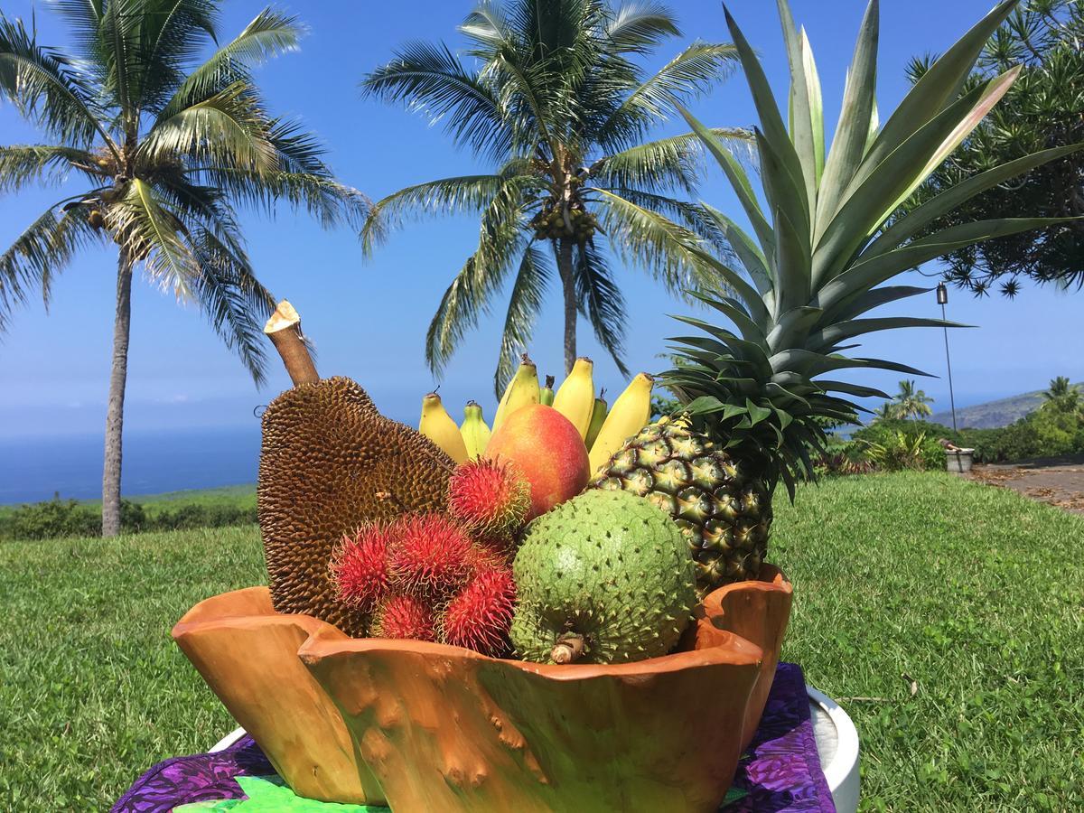 Bed and breakfast Kona Bayview Captain Cook