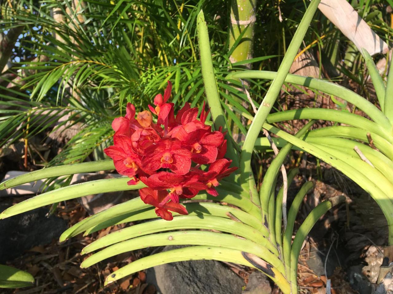 Kona Bayview Bed and breakfast